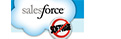 sales force