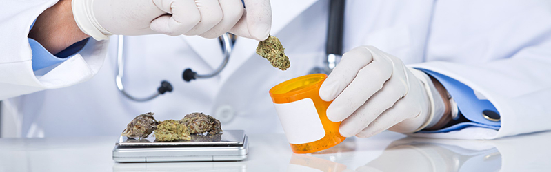 השקעה בקנאביס: כל מה שצריך לדעת לפני שמתחילים