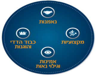ערכי הקוד האתי
