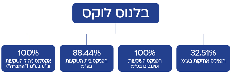 תרשים קבוצת הפניקס-אקסלנס